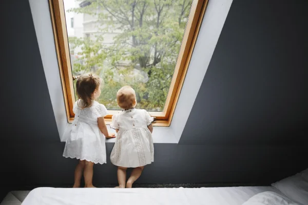 Pose de velux Agen